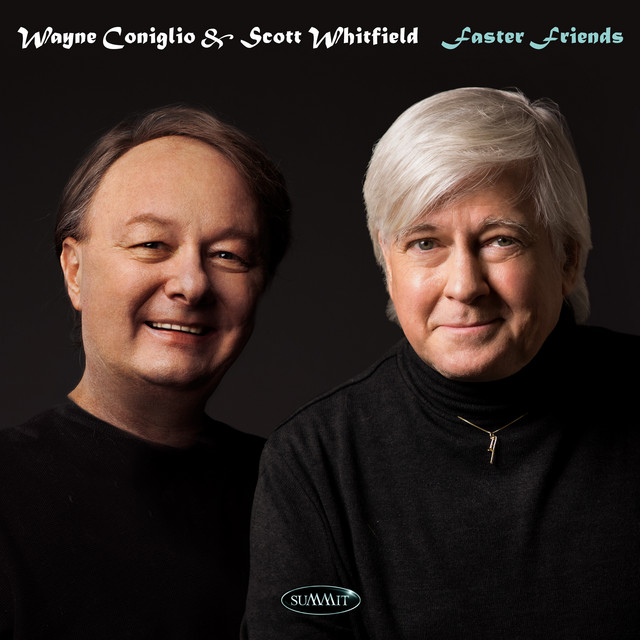 Faster Friends album cover