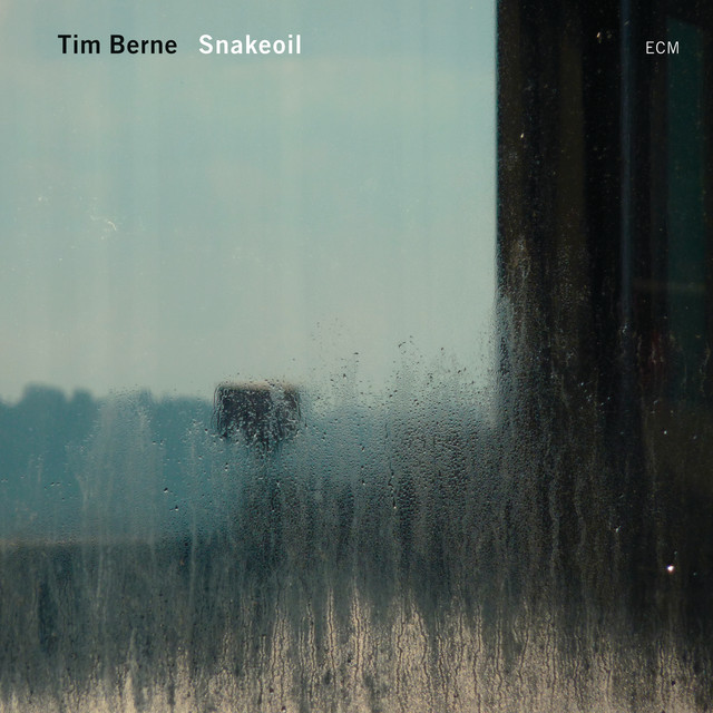 Snakeoil album cover