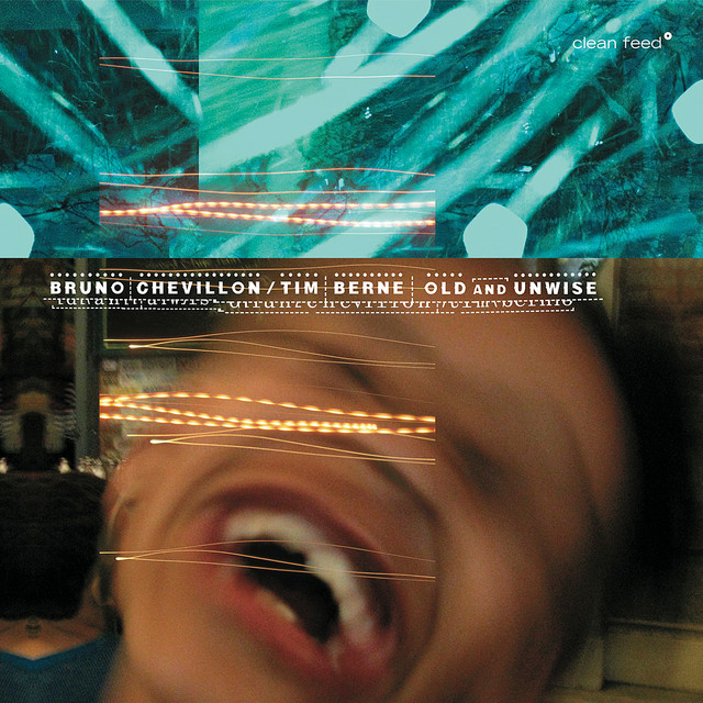 Old and Unwise album cover