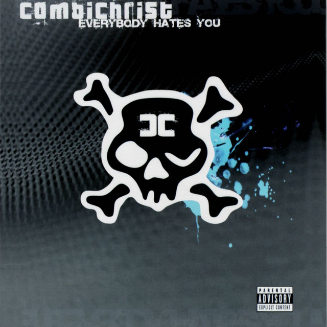 Everybody Hates You - Darkside album cover