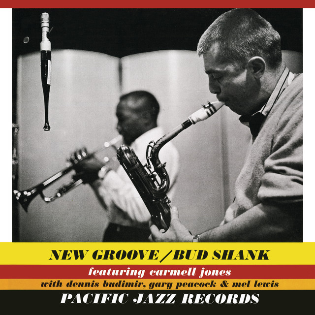 New Groove album cover