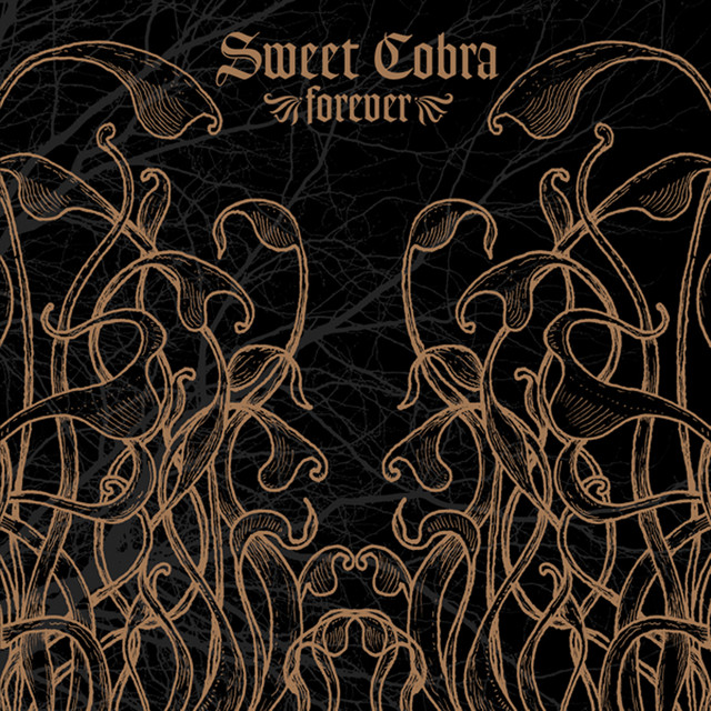 Forever album cover