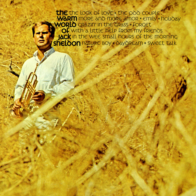 The Warm World Of Jack Sheldon album cover