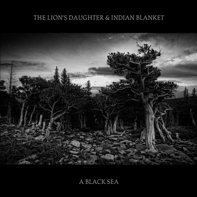 A Black Sea album cover