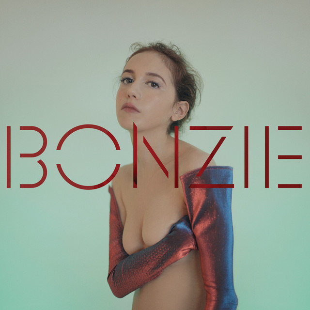 Zone on Nine album cover