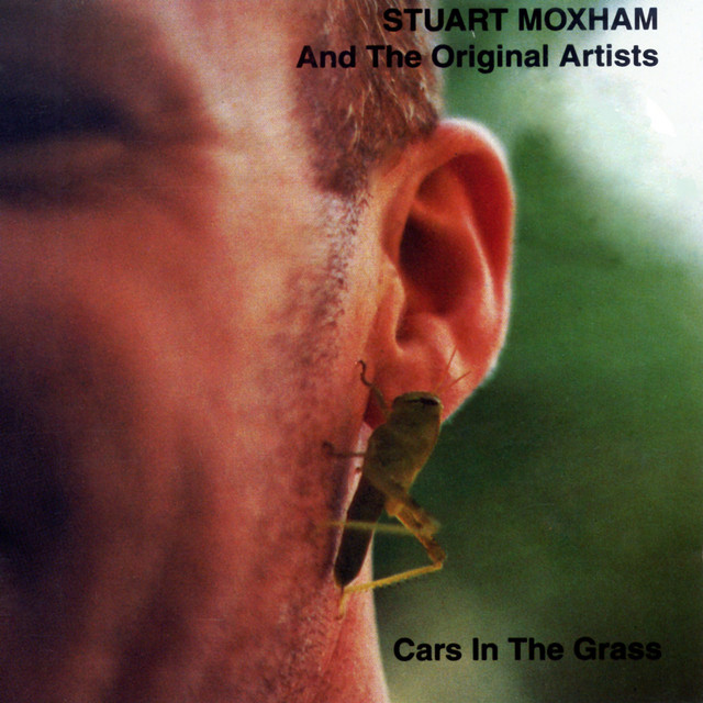 Cars In the Grass album cover