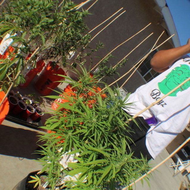 GrowHouse album cover