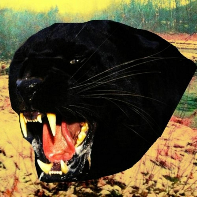 Haunted Clothes album cover