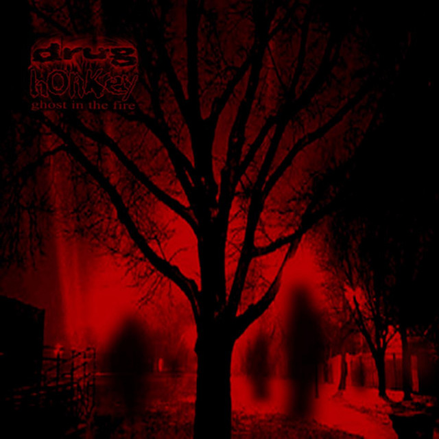 Ghost in the Fire album cover