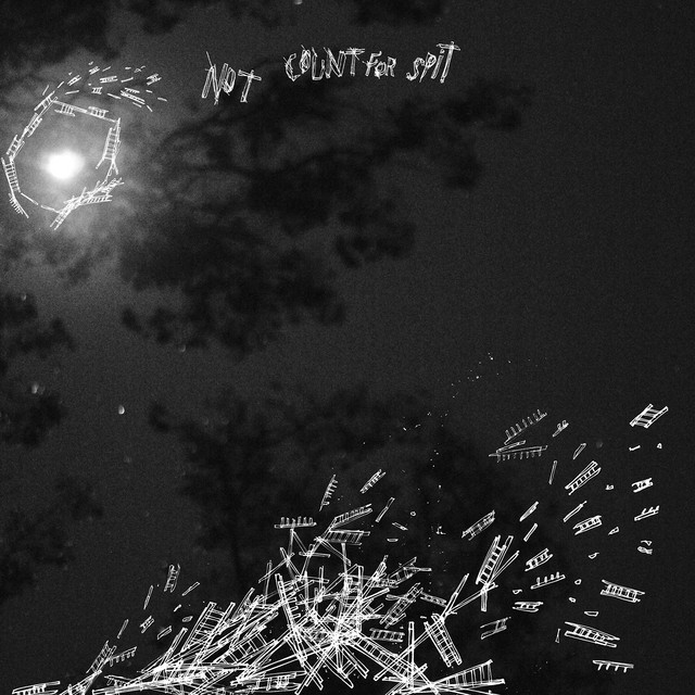 Not Count for Spit album cover