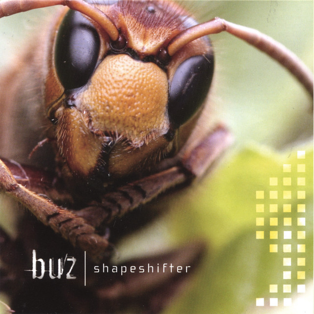 Shapeshifter album cover