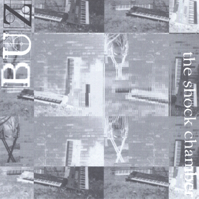 The Shock Chamber album cover