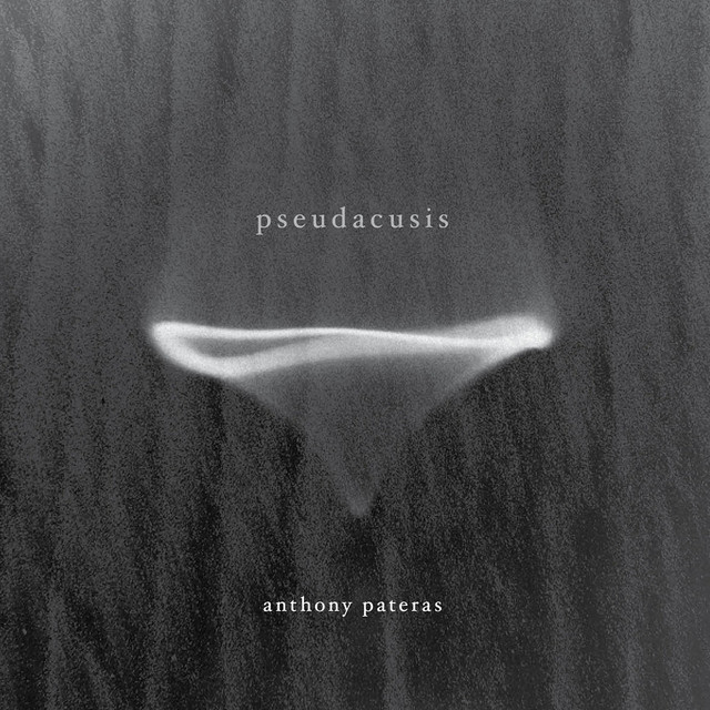 Pseudacusis album cover