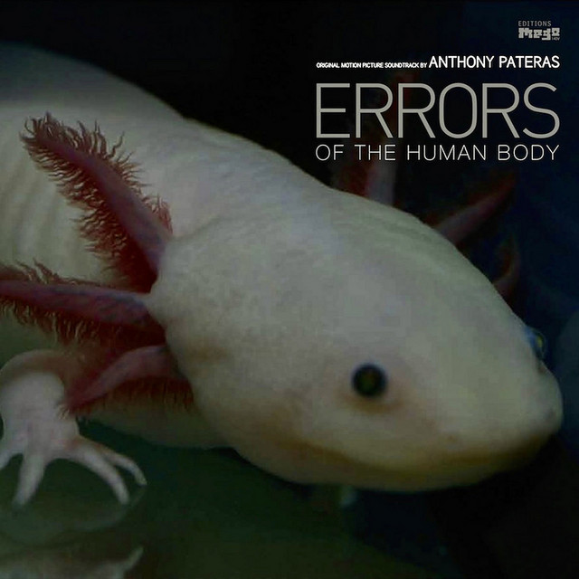 Errrors Of The Human Body album cover
