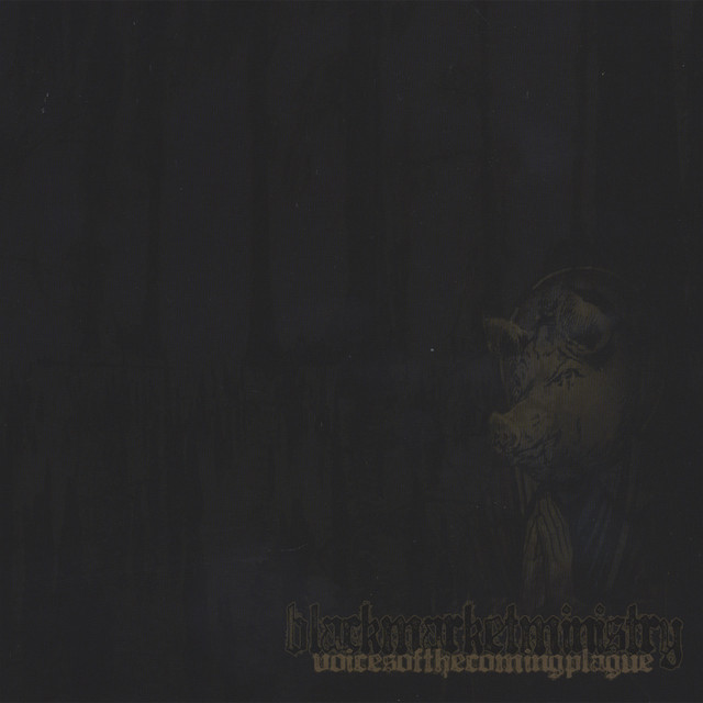 Voices Of The Coming Plague album cover