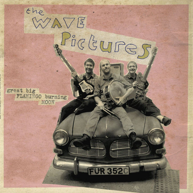 Great Big Flamingo Burning Moon album cover