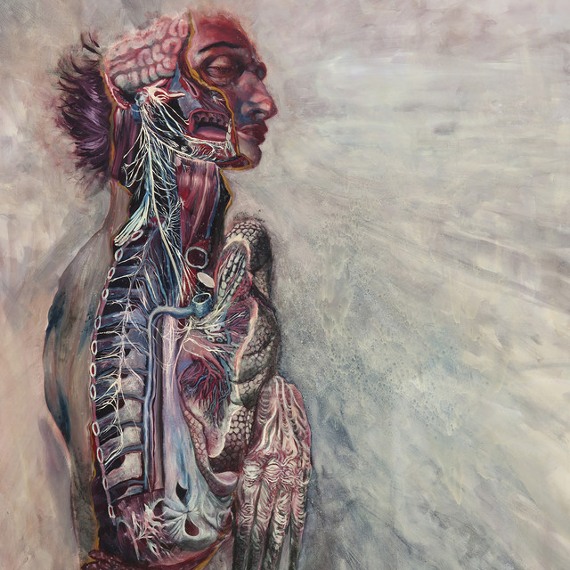Fear and the Nervous System album cover