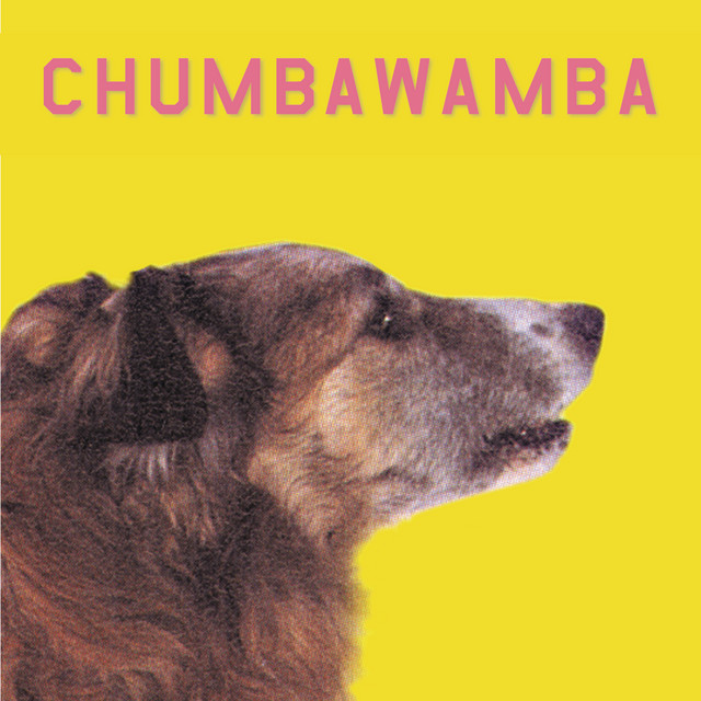 WYSIWYG album cover