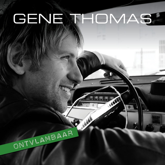 Ontvlambaar album cover