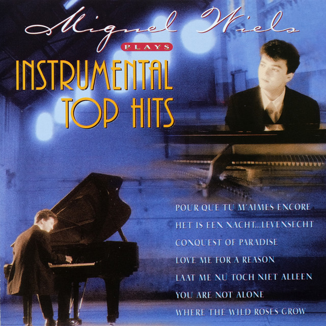 Plays Instrumental Top Hits album cover