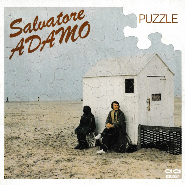 Puzzle album cover
