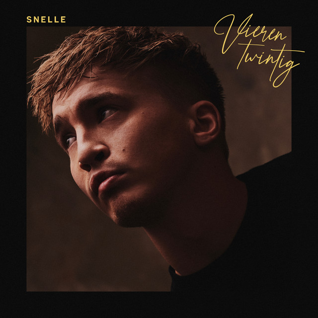 Vierentwintig album cover