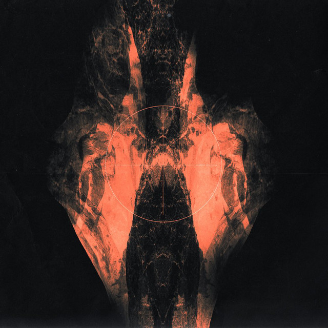 Singularity album cover