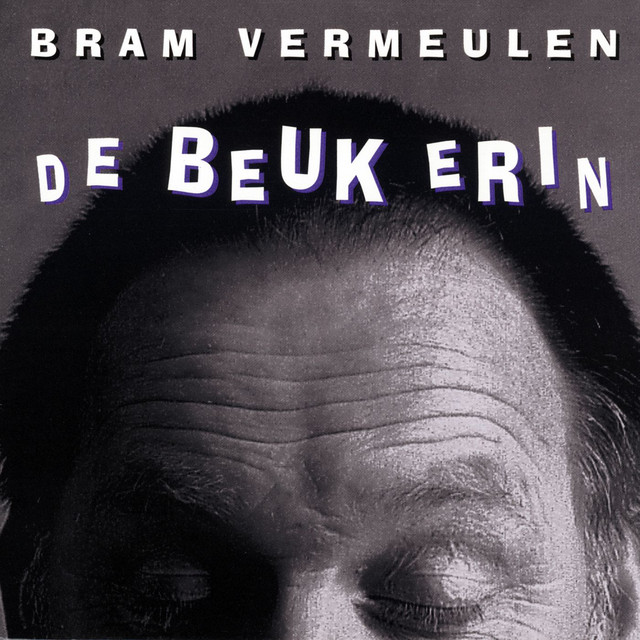 De Beuk Erin album cover