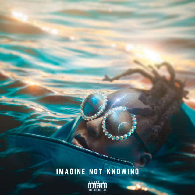 Imagine Not Knowing album cover