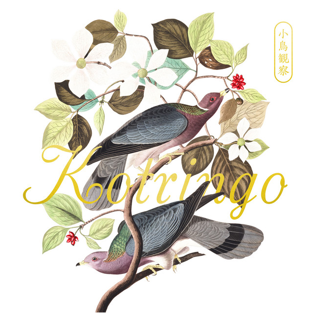 小鳥観察 Kotringo Best album cover