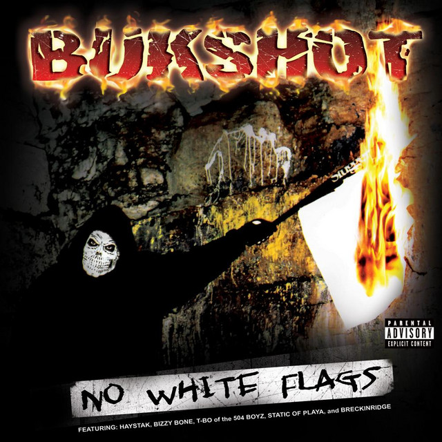 No White Flags album cover