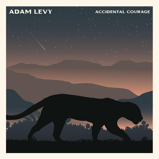 Accidental Courage album cover