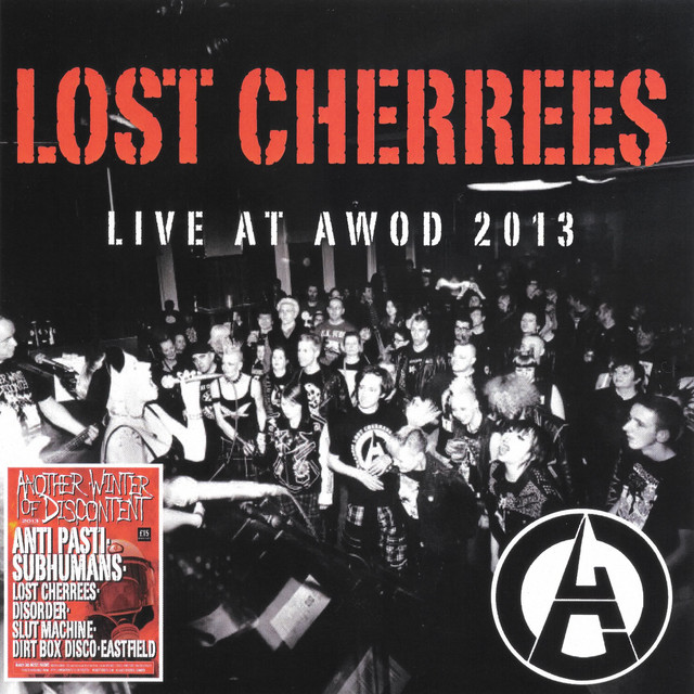 Live At AWOD 2013 album cover