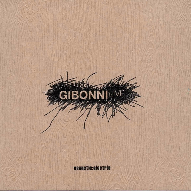 Acoustic:Electric album cover