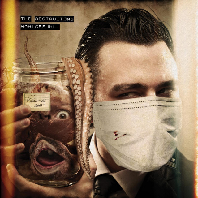 Wohlgefuhl album cover