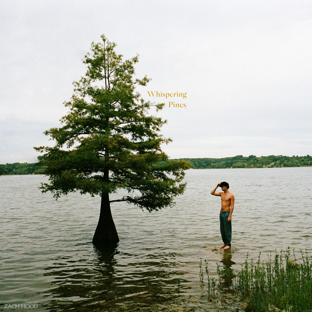 Whispering Pines album cover
