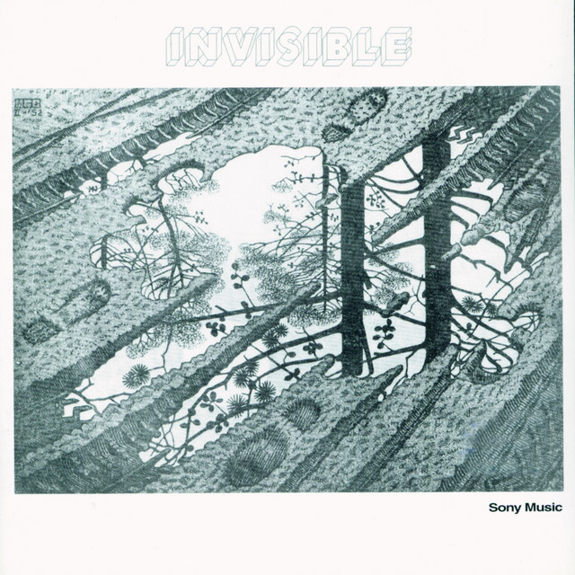 Invisible album cover