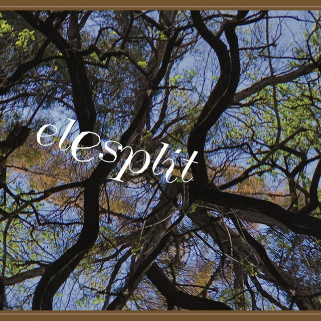 Elesplit album cover