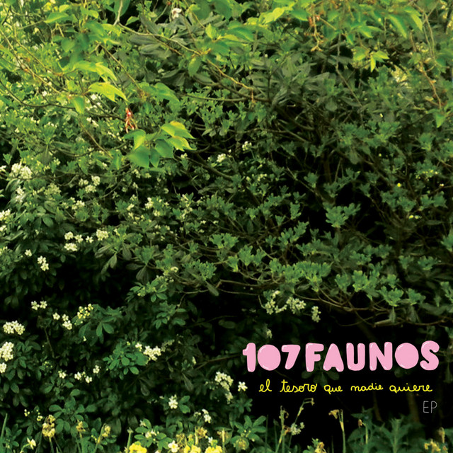 El Tesoro Que Nadie Quiere album cover