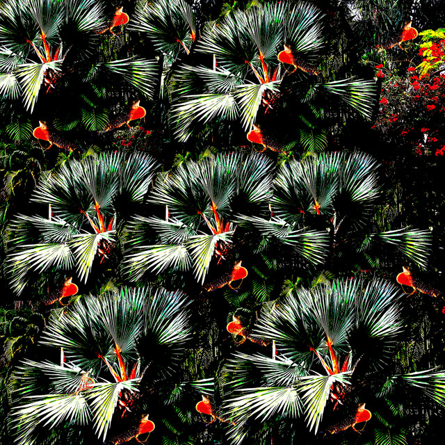 GAZEBO album cover