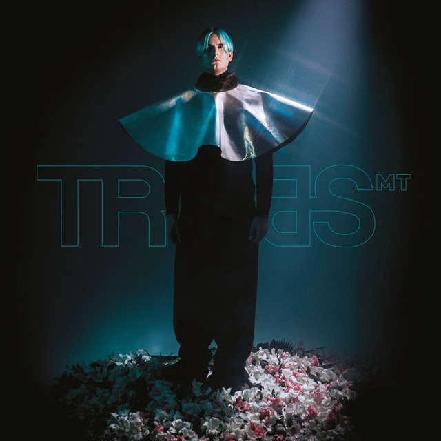 MT album cover