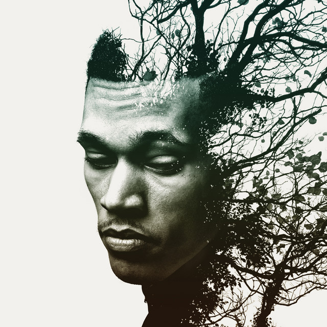 Rise album cover