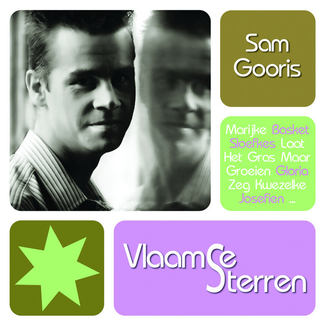 Vlaamse Sterren album cover