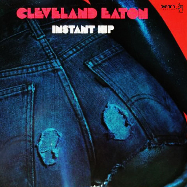 Instant Hip album cover