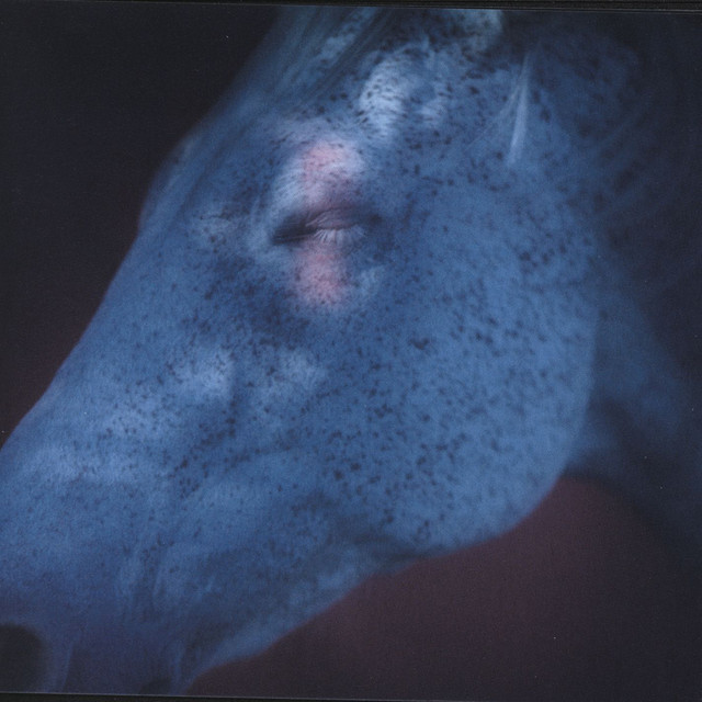 Enkidu album cover