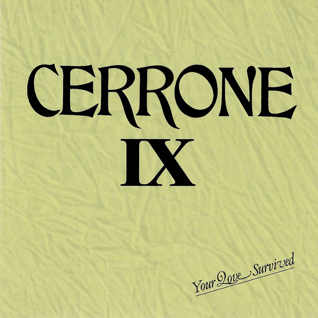 IX - Your Love Survived album cover