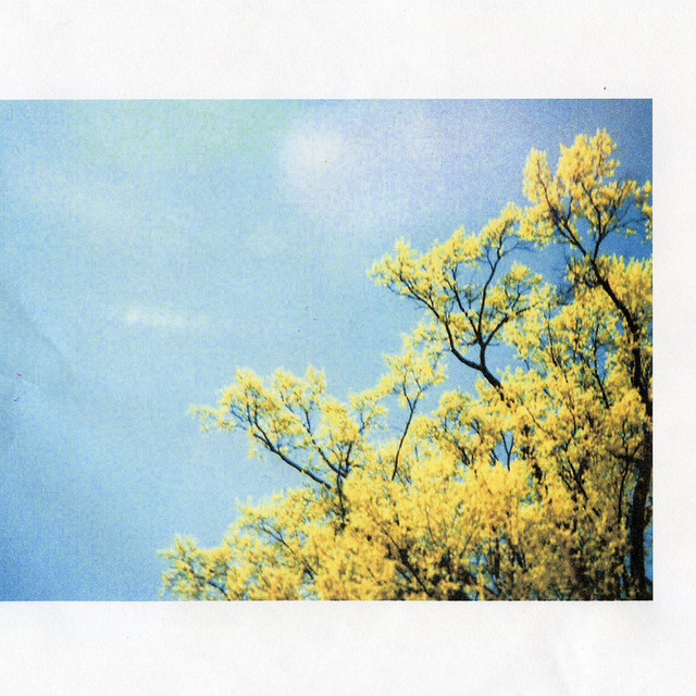 Am I Happy, Singing album cover
