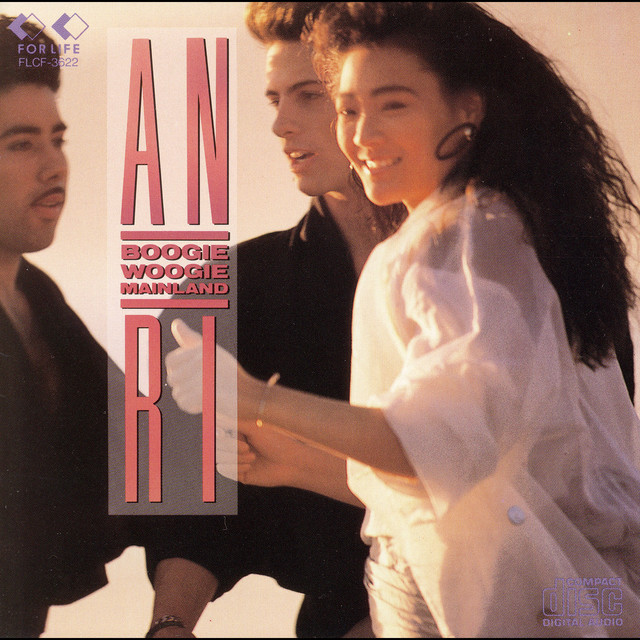 BOOGIE WOOGIE MAINLAND album cover