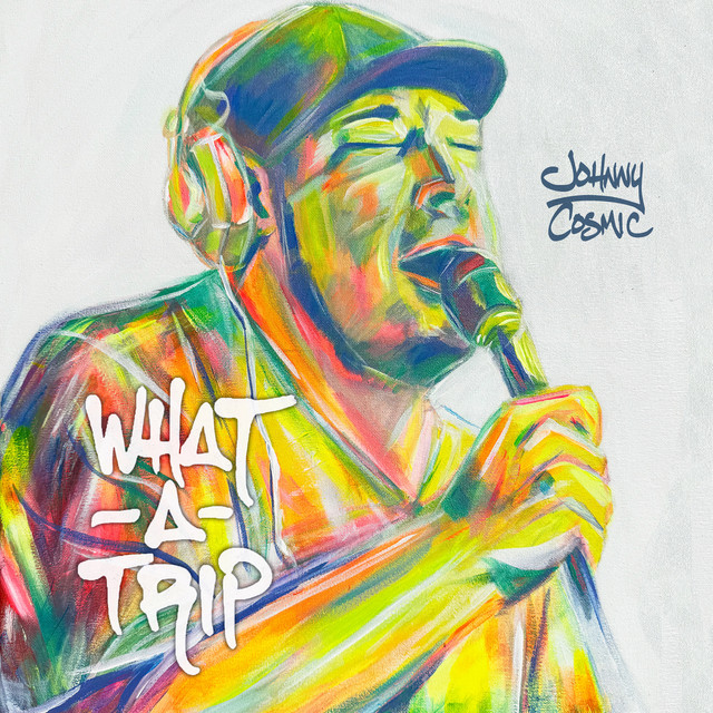 What A Trip album cover