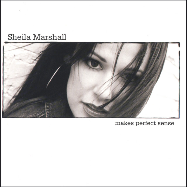 Makes Perfect Sense album cover